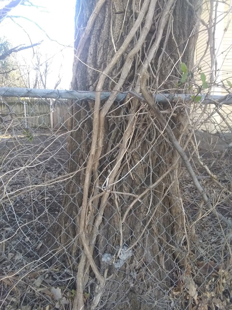 3rd & Piatt Park playground photo 2