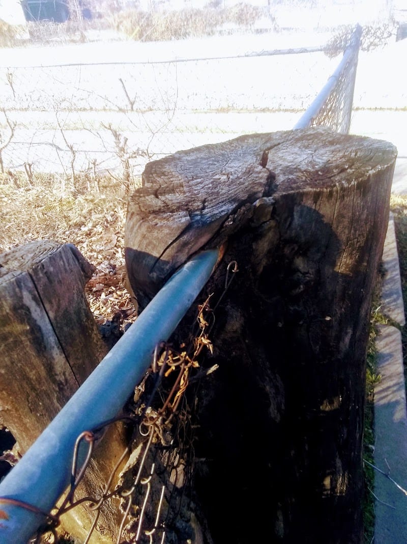 3rd & Piatt Park playground photo 3