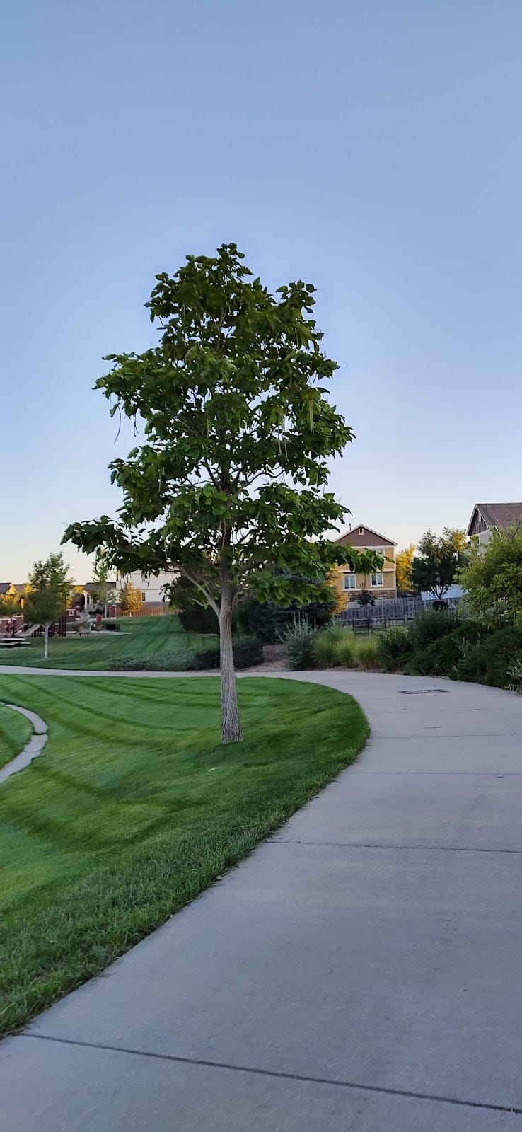 Adonea Playground playground photo 2