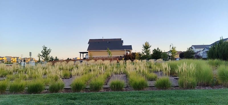 Adonea Playground playground photo 3