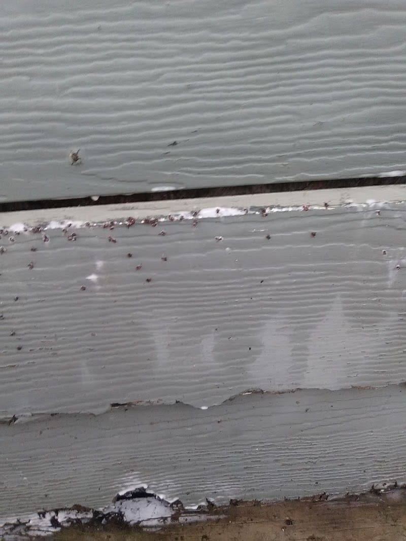 Agnes Park playground photo 1