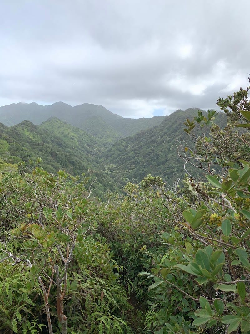 `Aiea District Park playground photo 3