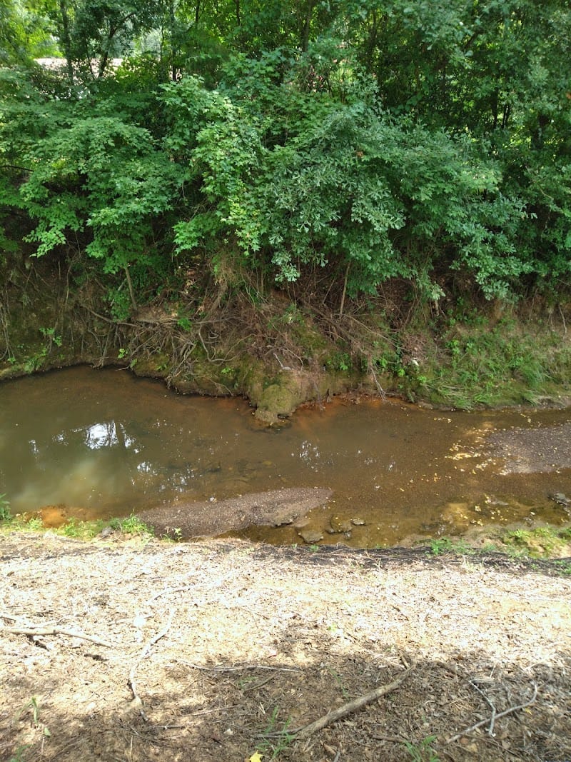 Akin Park playground photo 3