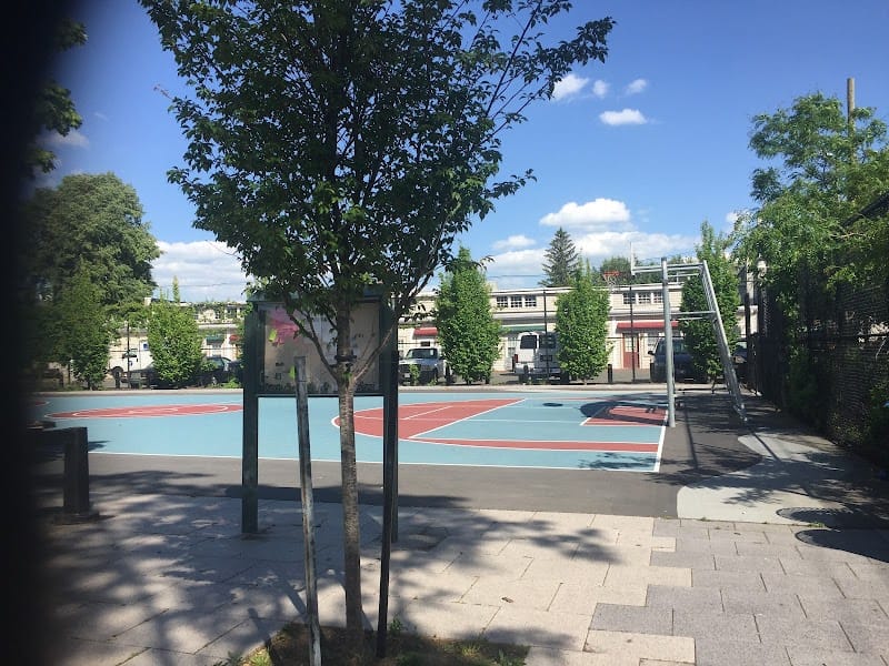 Albion Playground playground photo 2