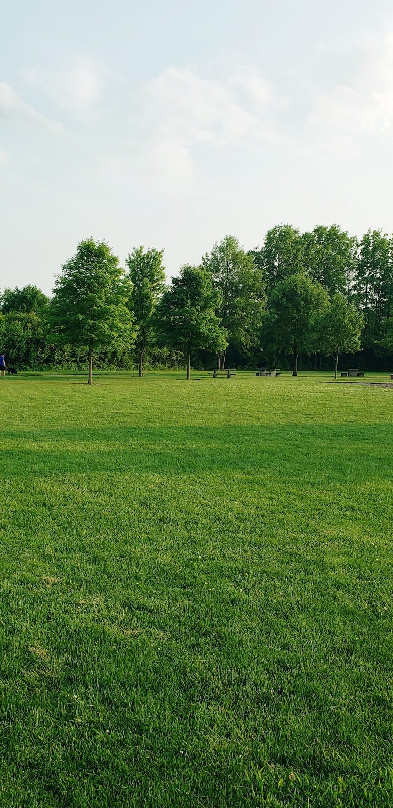Alkire Woods Park playground photo 2