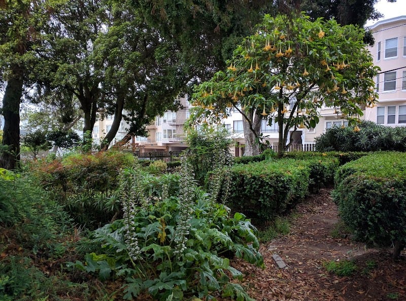 Allyne Park playground photo 2