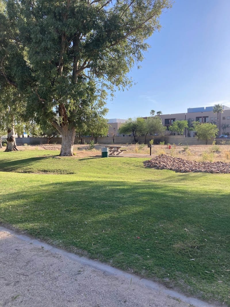 Alvernon Park playground photo 1