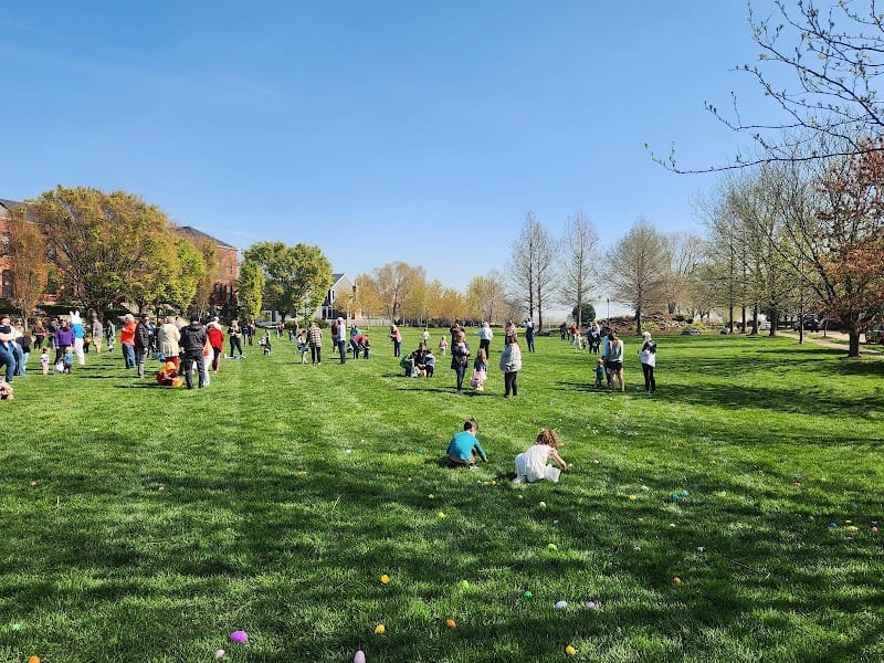 Animal Park playground photo 1