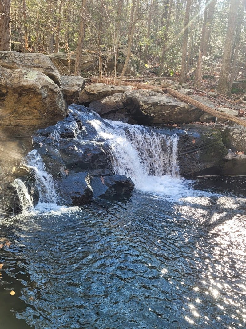 Apshawa Preserve playground photo 3