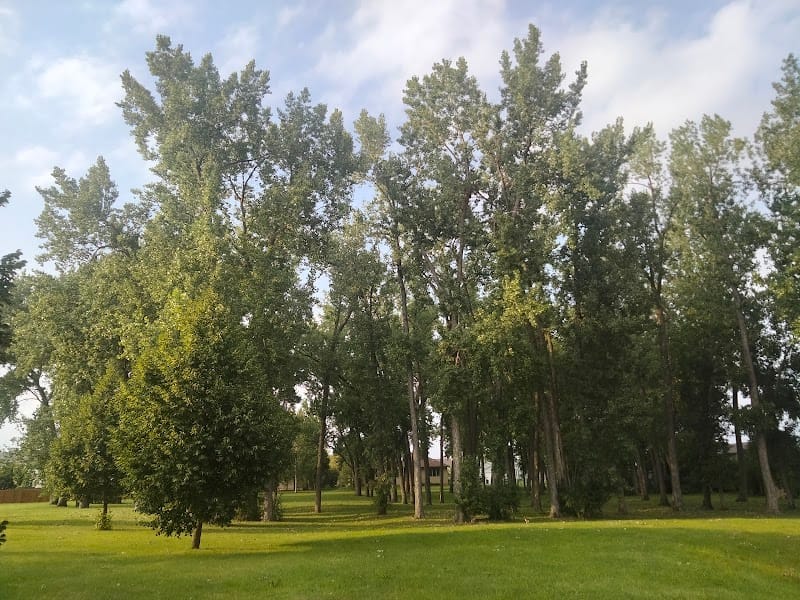 Arbor Park playground photo 2