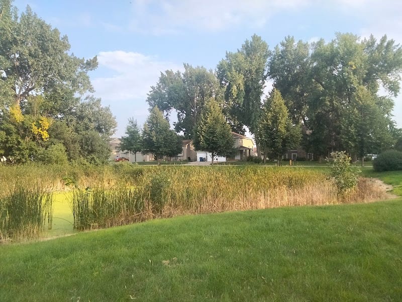 Arbor Park playground photo 3