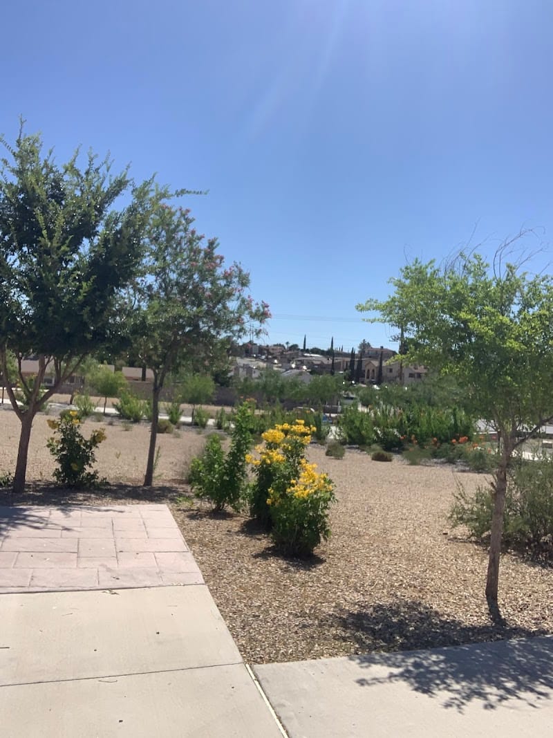 Argal Park playground photo 2