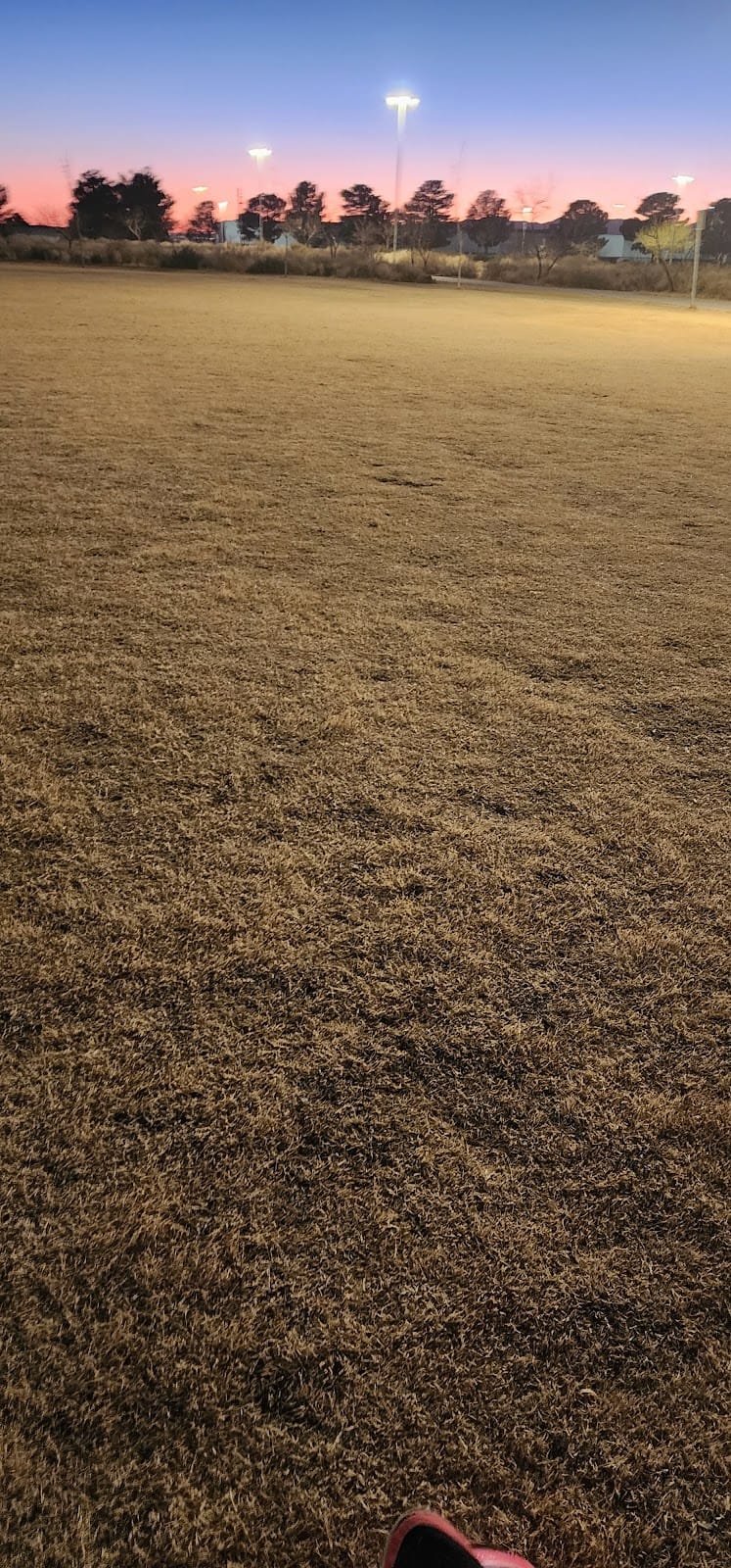 Argal Park playground photo 3