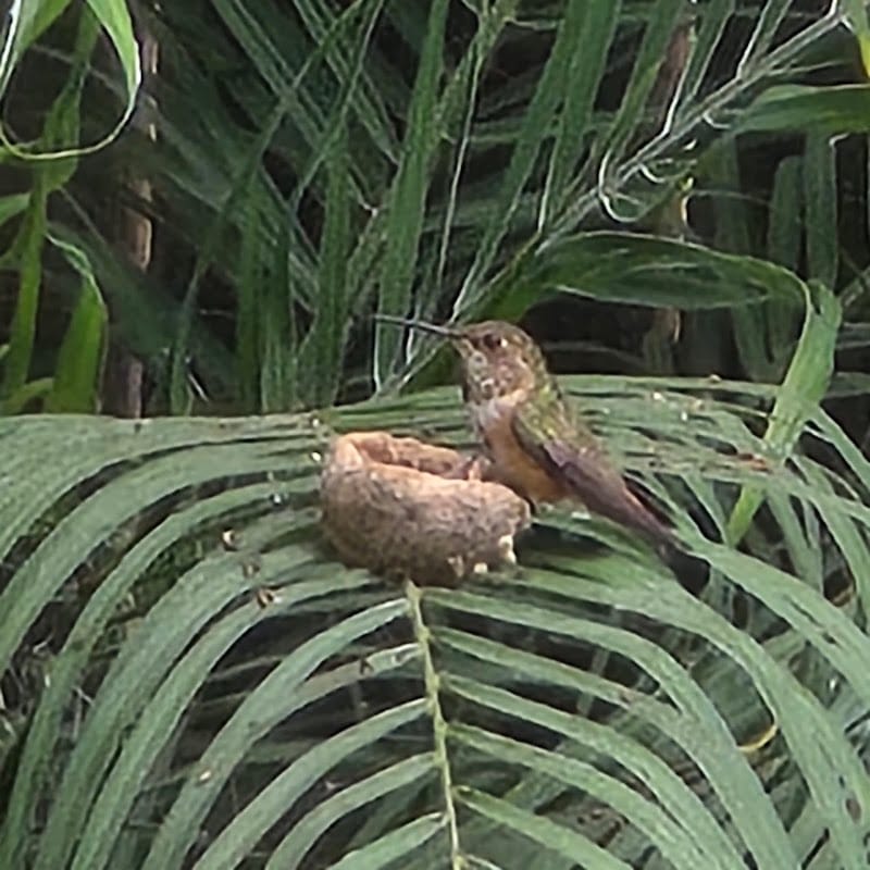 Arrowood Park playground photo 2