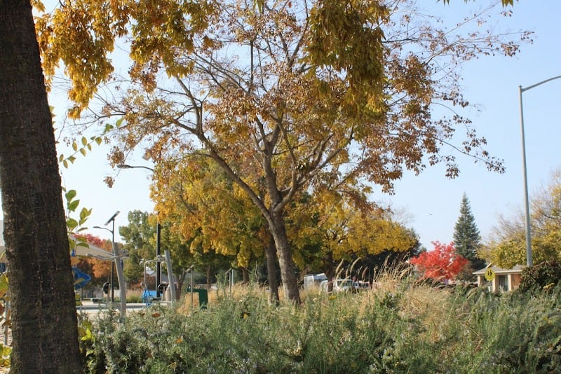 Athwal Park playground photo 1