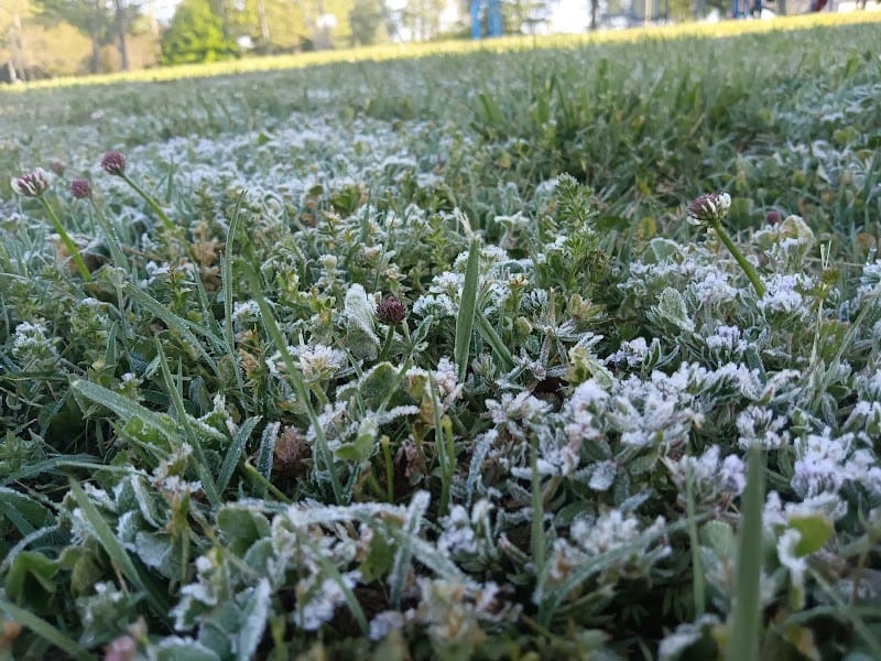 Avoca City Park playground photo 2