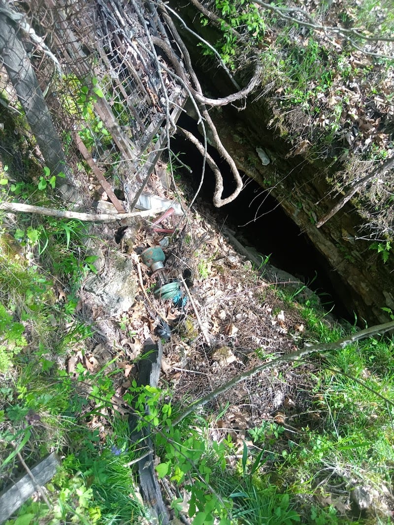 Avoca City Park playground photo 3