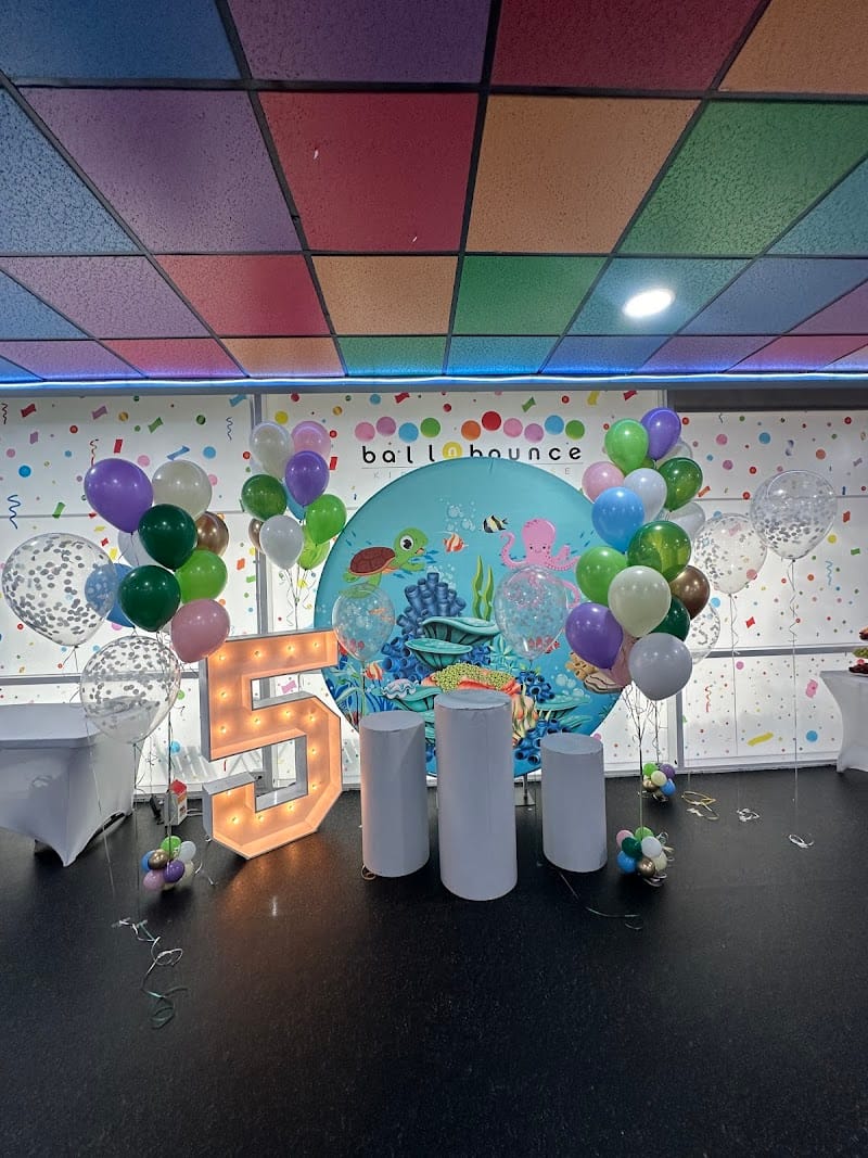 Ball N Bounce playground photo 3