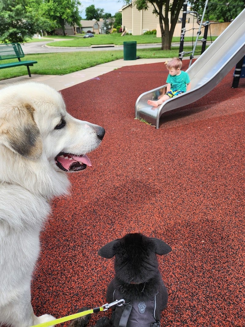 Barrington Park playground photo 2