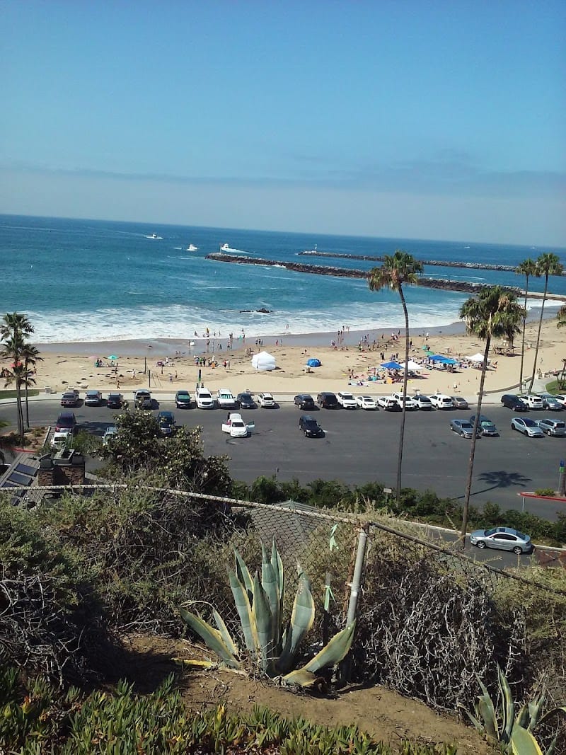 Bayside Dr Park playground photo 1