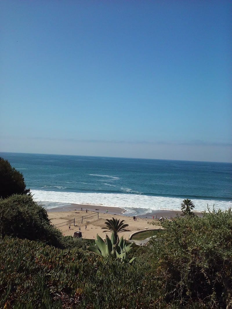 Bayside Dr Park playground photo 2