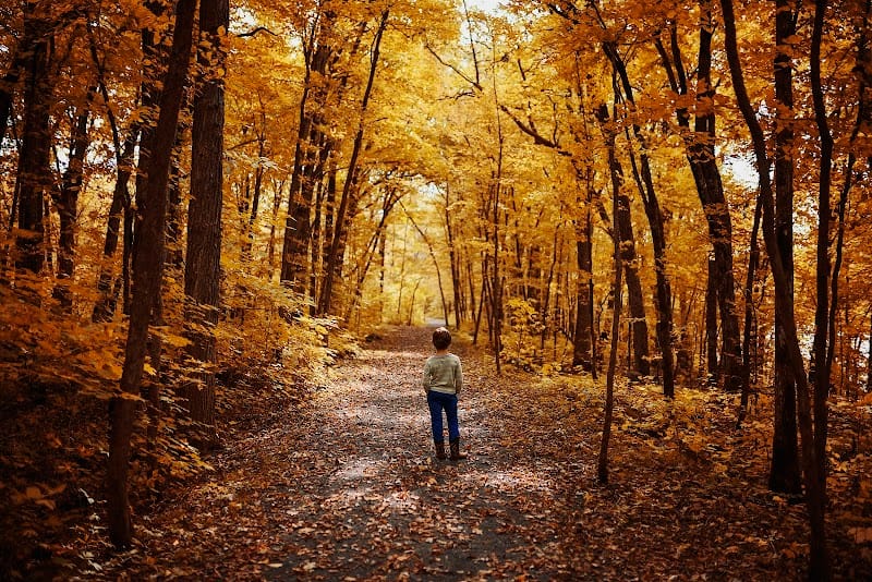 Beacon Hill Park playground photo 1