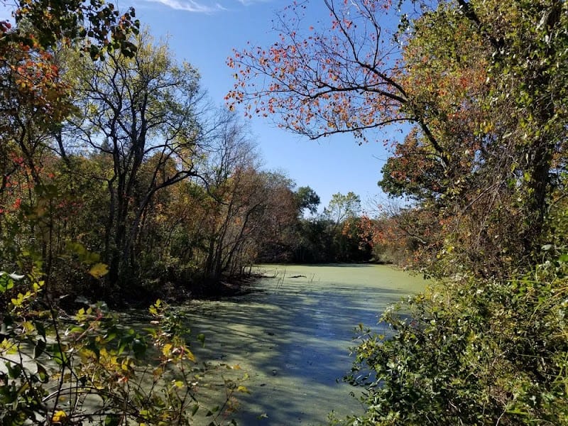 Bee Creek Park playground photo 1