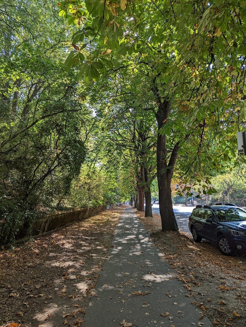 B.F. Day Playground playground photo 3