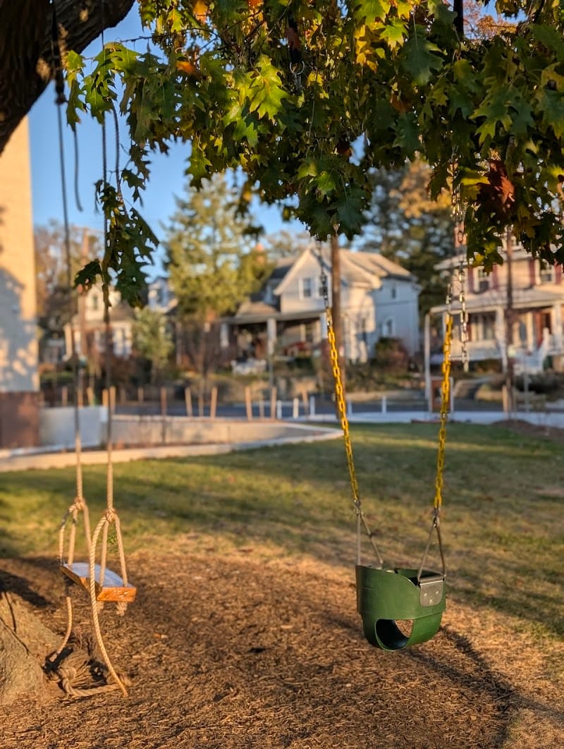 Big Oak Swing playground photo 2