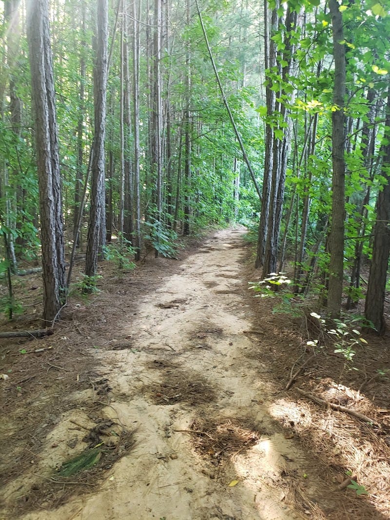Big Shanty Park playground photo 3