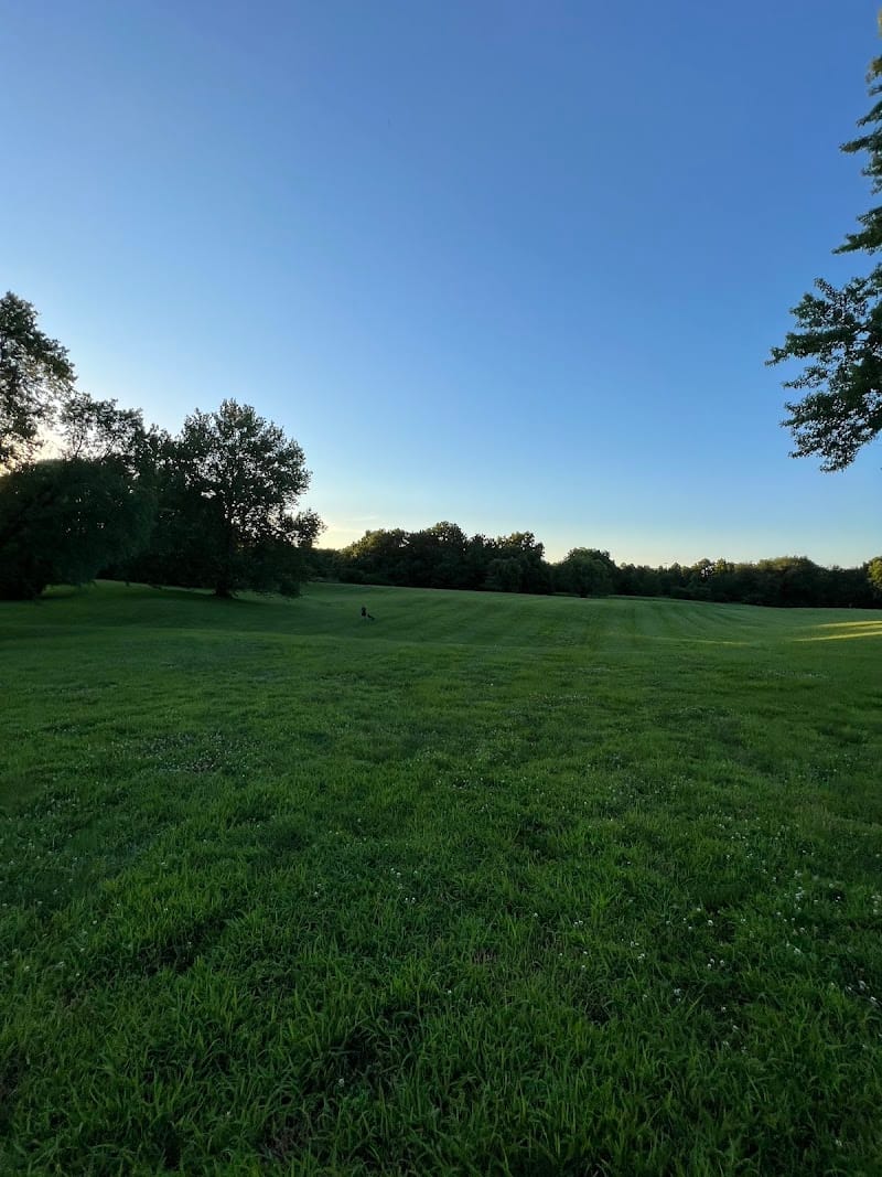 Big Shunga Park playground photo 1