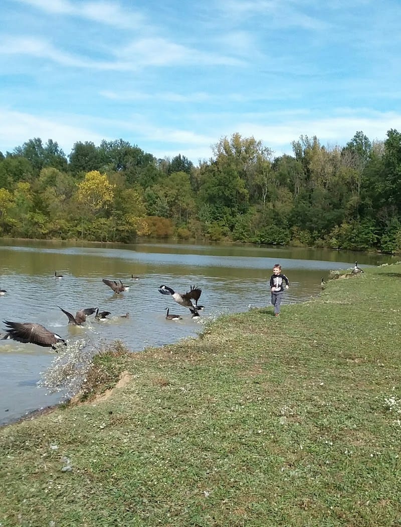 Big Walnut Park playground photo 2