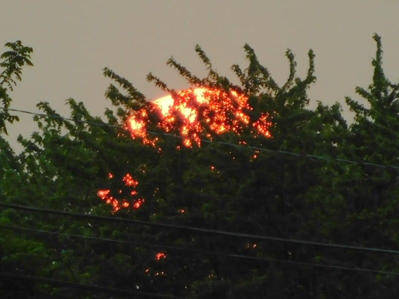 Bird Park playground photo 3