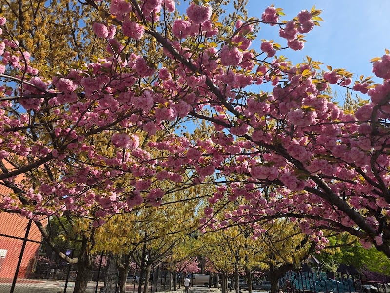 Boerum Park playground photo 2