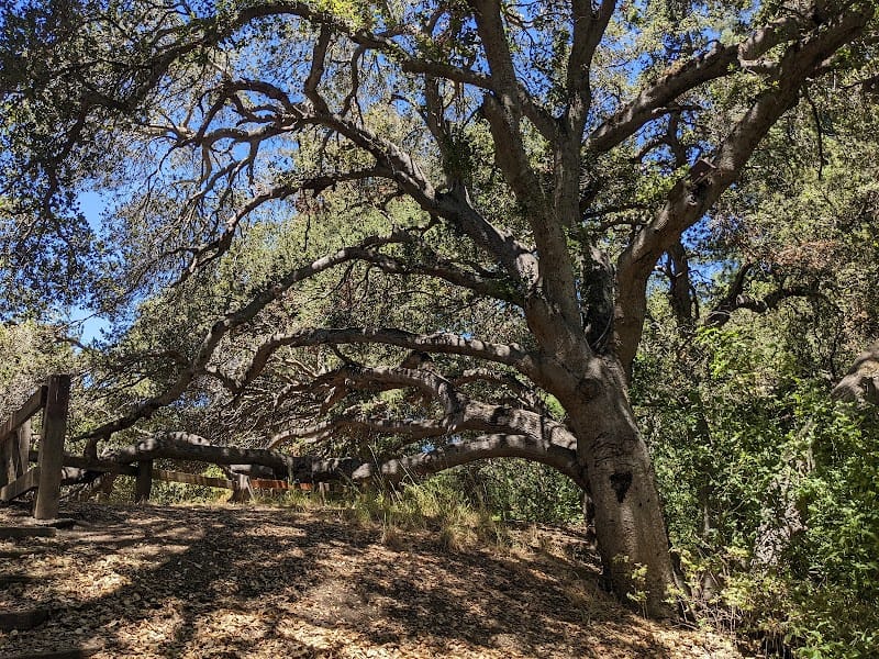 Bol Park Play Area playground photo 3