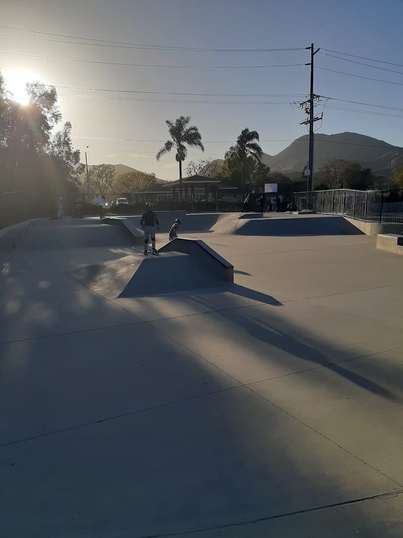 Borchard Skatepark playground photo 2
