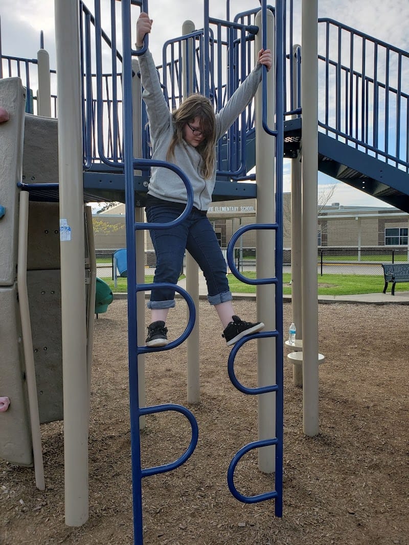 Bowie School Park playground photo 3