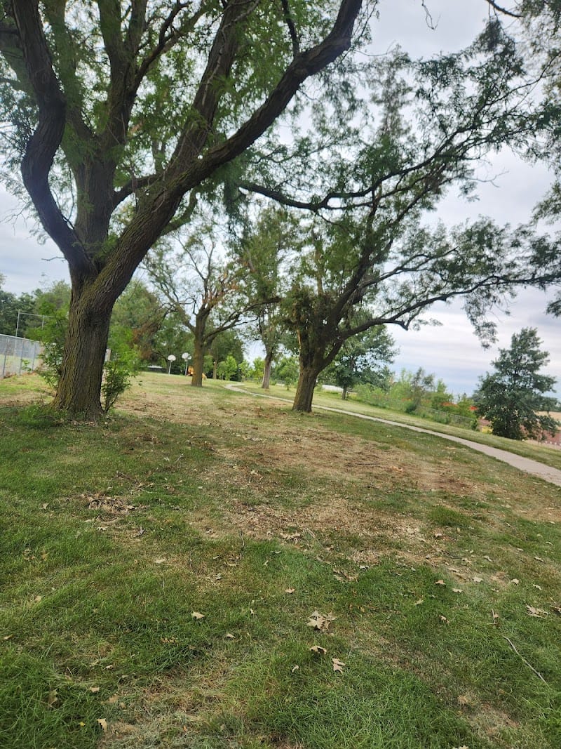 Bowling Green Park playground photo 1
