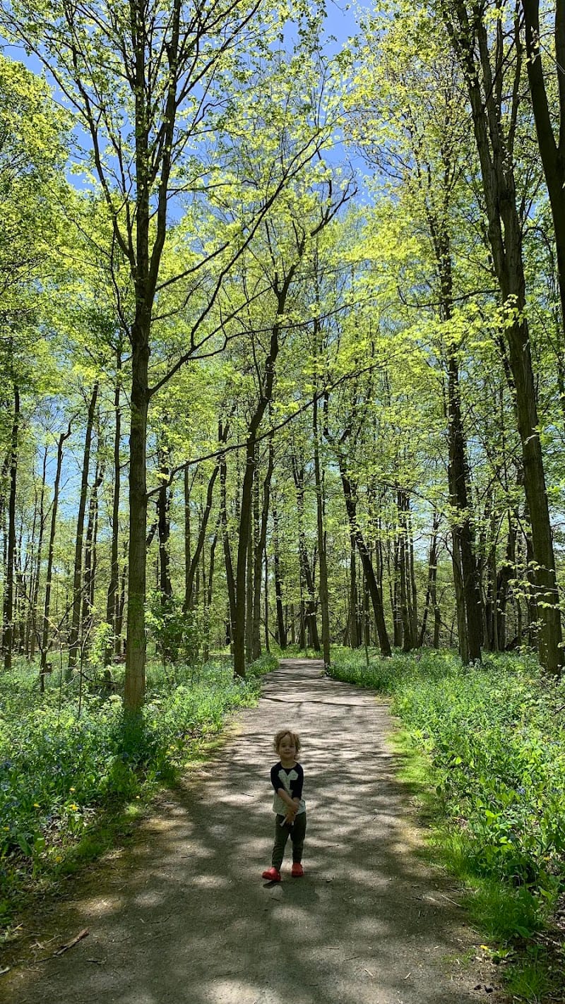Breese Park playground photo 2