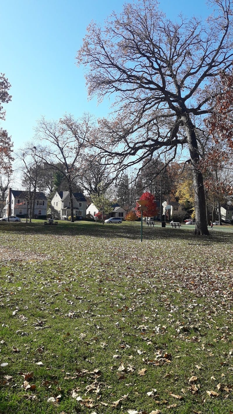 Brevoort Park playground photo 1