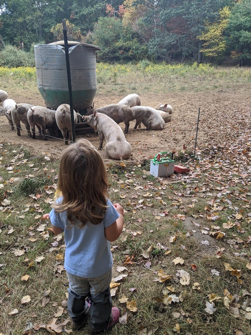 Briggs Boesch Farm playground photo 1