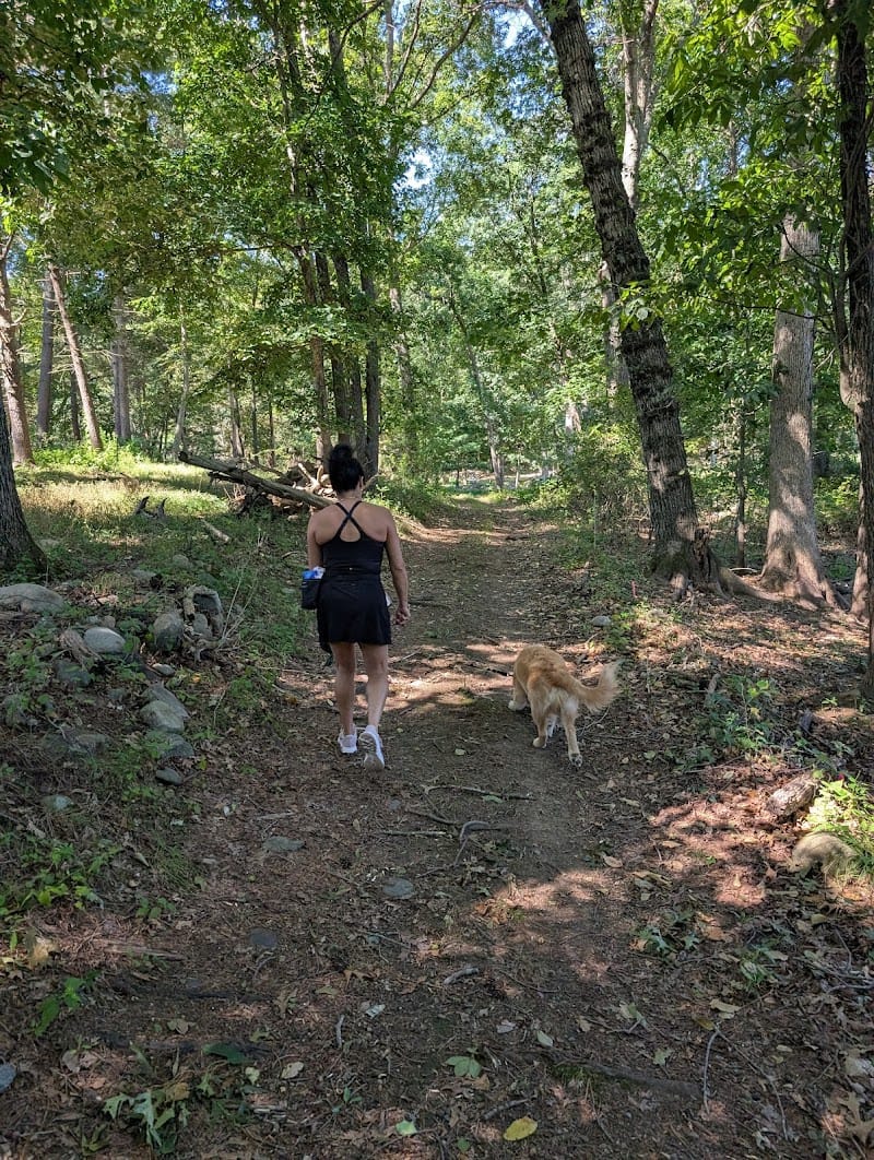 Briggs Boesch Farm playground photo 2