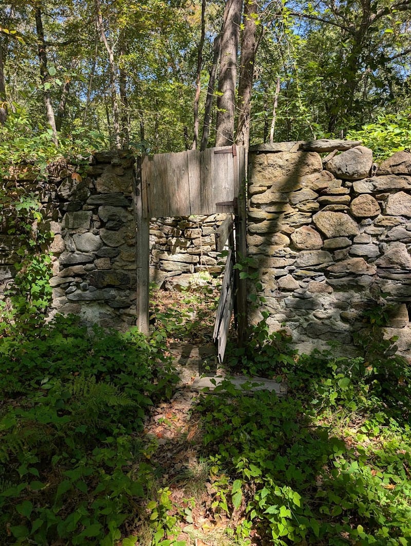 Briggs Boesch Farm playground photo 3