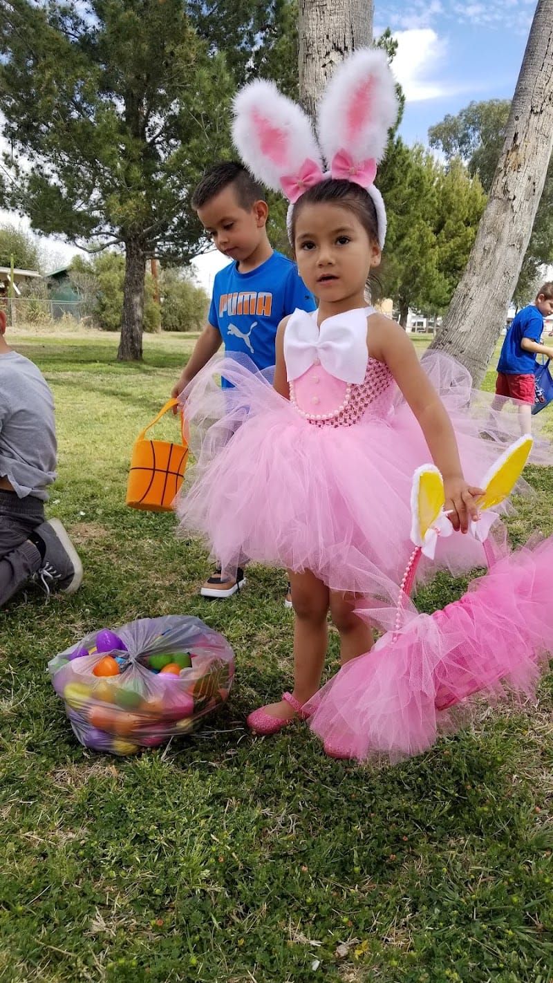 Bristol Park playground photo 3
