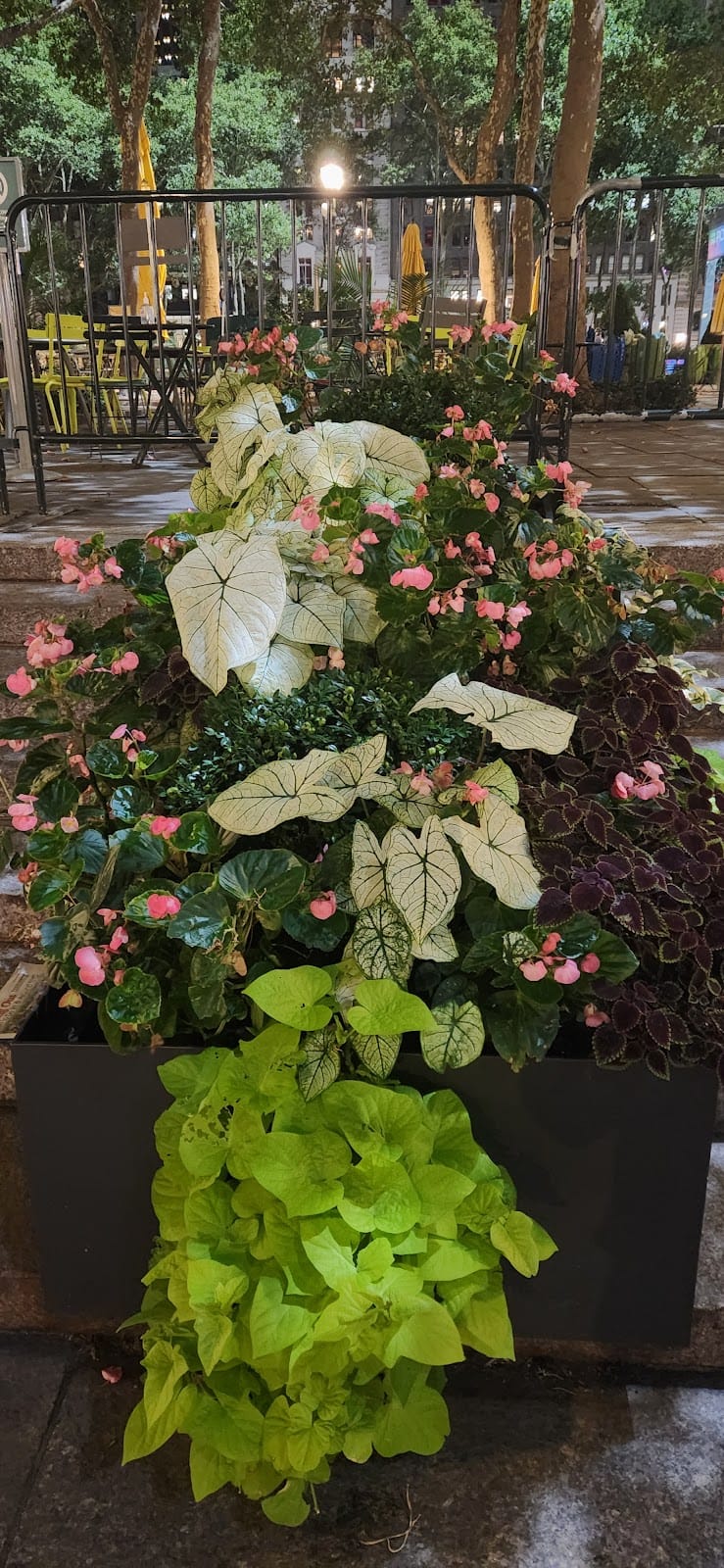 Bryant Park playground photo 2