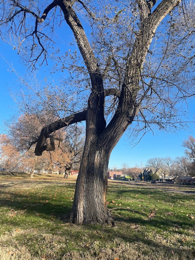Budd Park playground photo 3