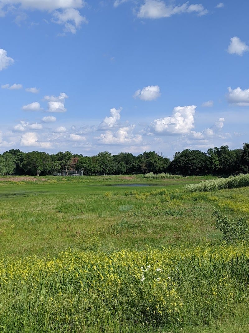 Buffalo Park playground photo 2