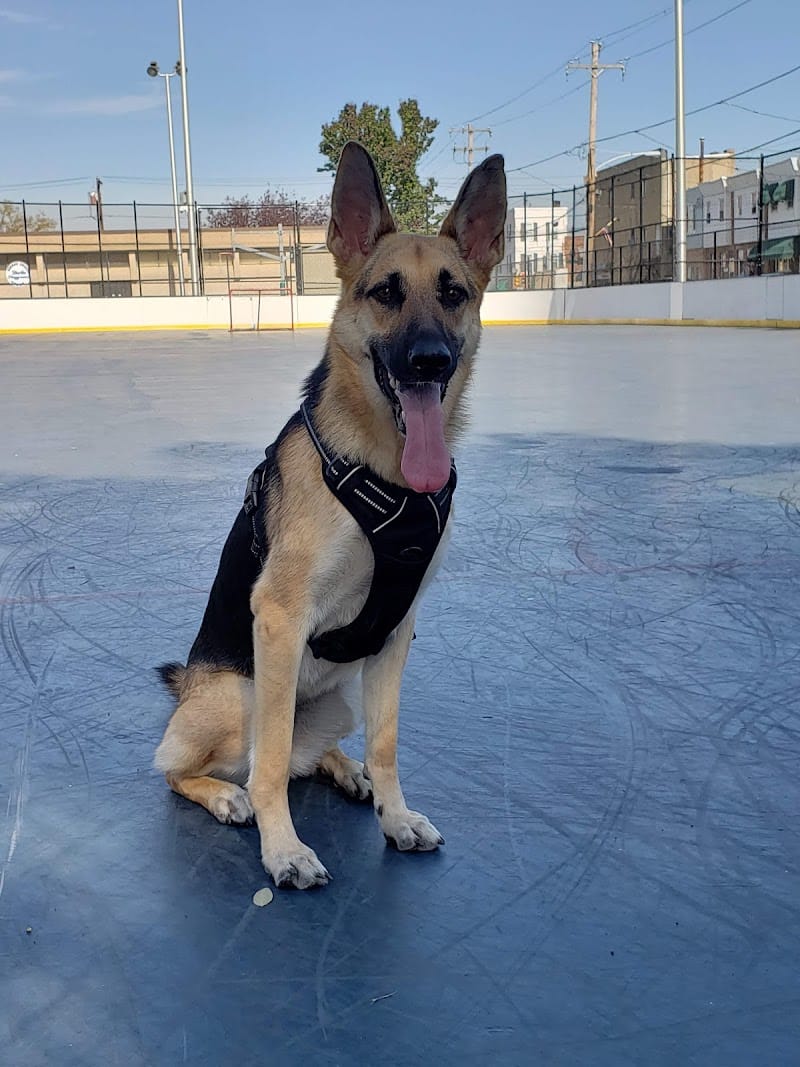 Burke Playground playground photo 2