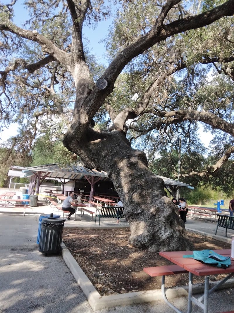 Camargo Park playground photo 2