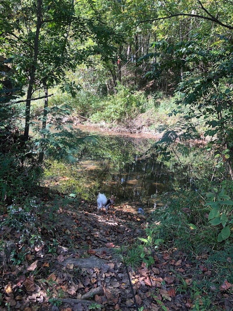 Carroll Park playground photo 1